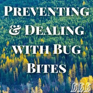 Preventing & Dealing with Bug Bites