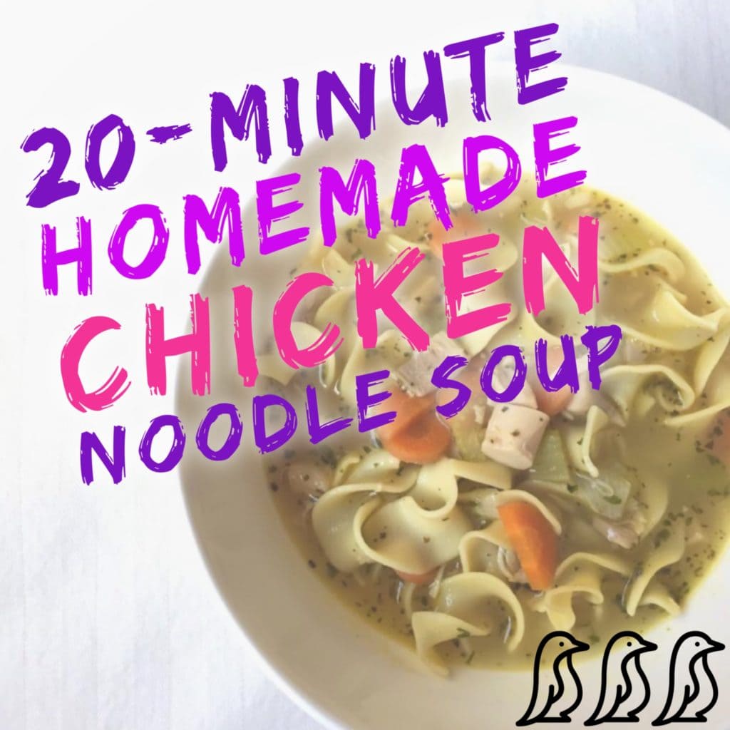 chicken noodle soup