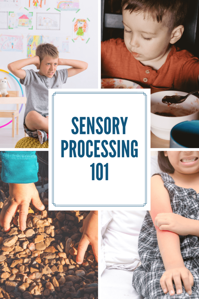 Sensory Processing 101