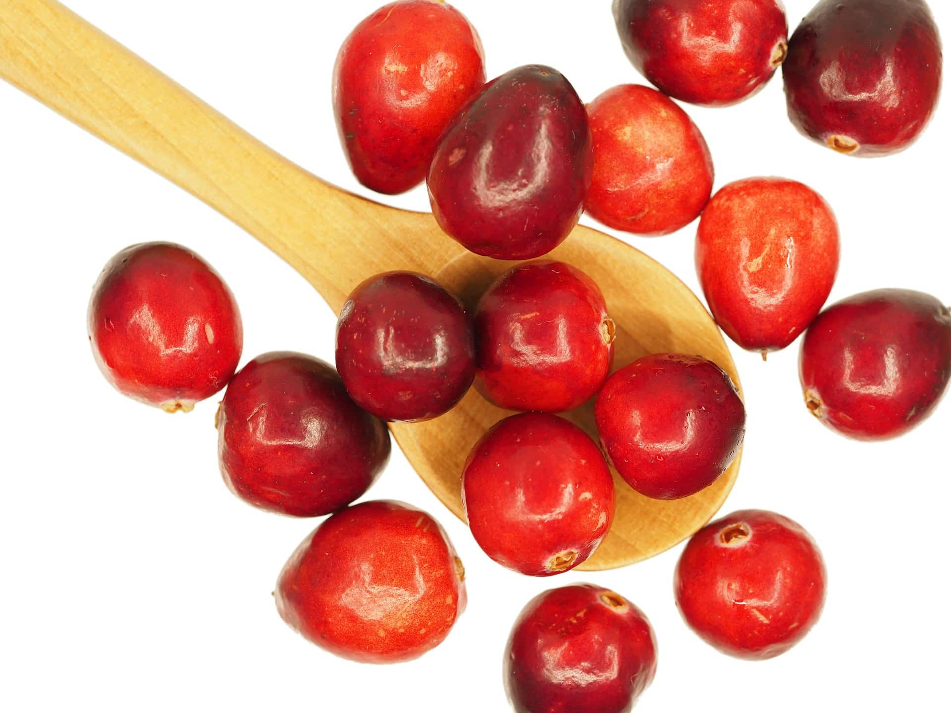 fresh cranberry sauce