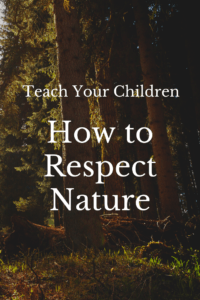 Teach Your Children How to Respect Nature