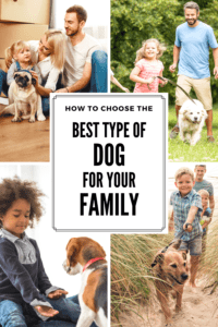 best type of dog for your family