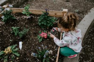 little girl taking picture of a flower in a garden