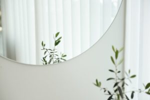 picture of a mirror on a white wall reflecting a plant