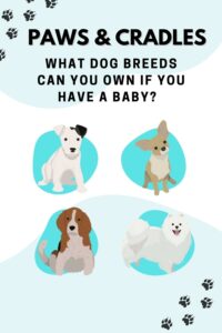 dog breeds with baby