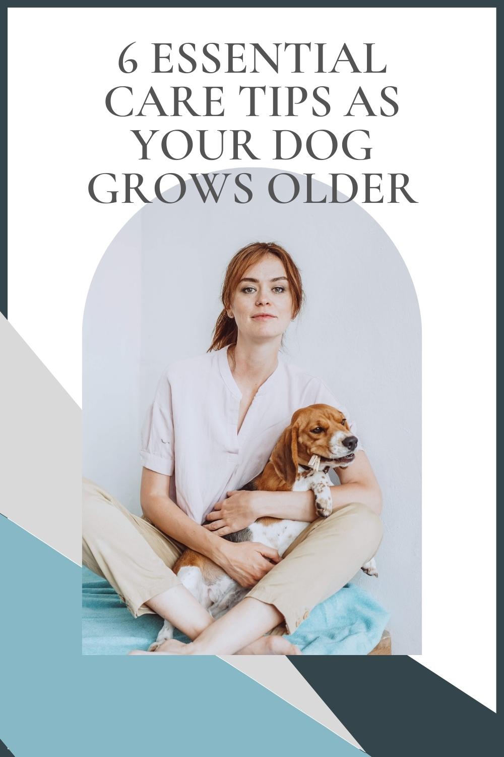 dog grows older