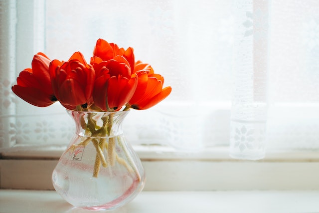 vase of tulips