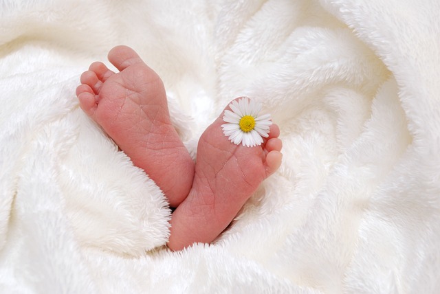 newborn baby feet with flower