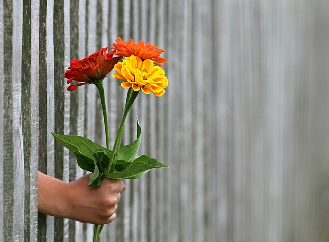 giving flowers