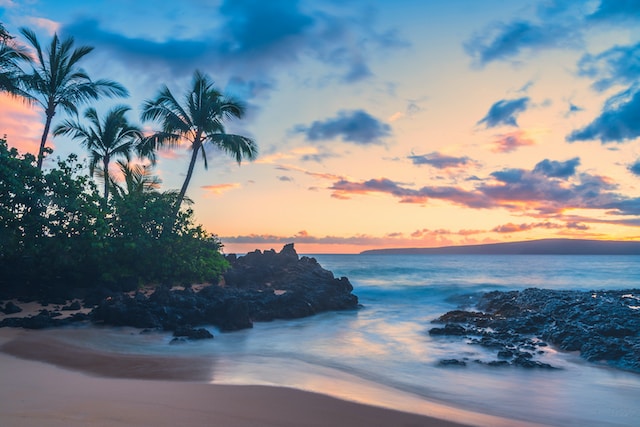 tropical beach