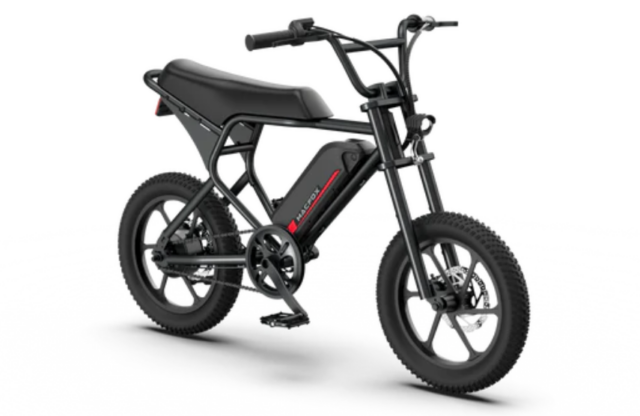 Macfox M19 Electric Bike