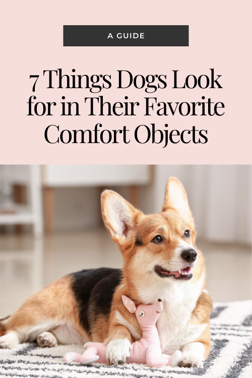 corgi with stuffed toy