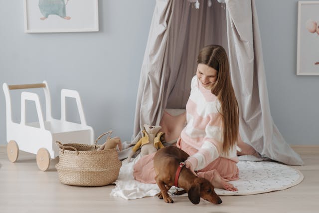 dog in toy room