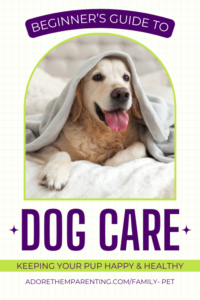 dog under blanket