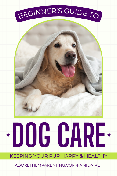 dog under blanket