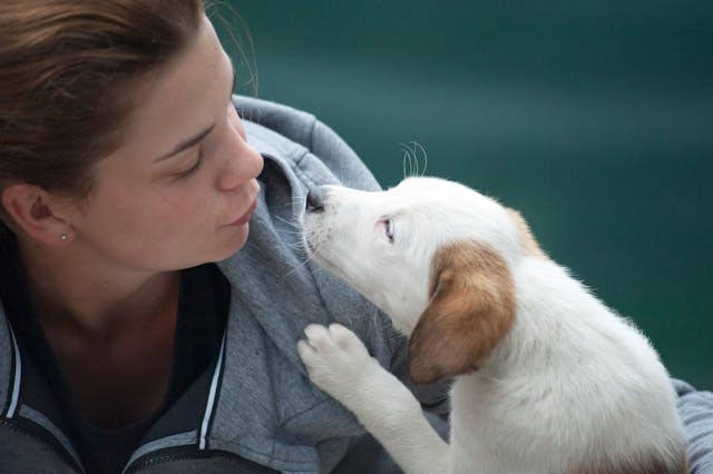 woman sharing kiss with dog