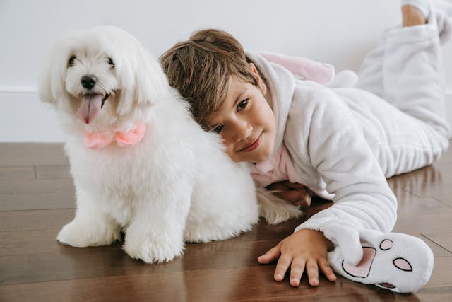 boy laying on white dog