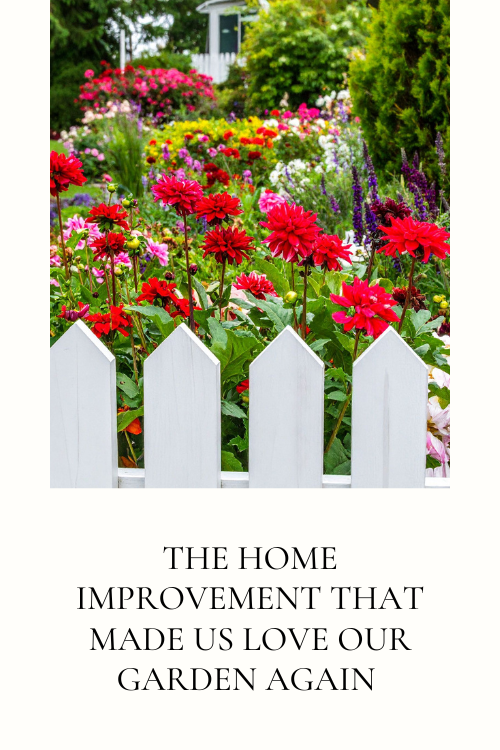 flowers against white fence